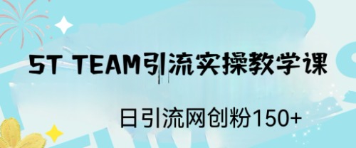 ST TEAM引流实操课，日引流网创粉100+-AI网创