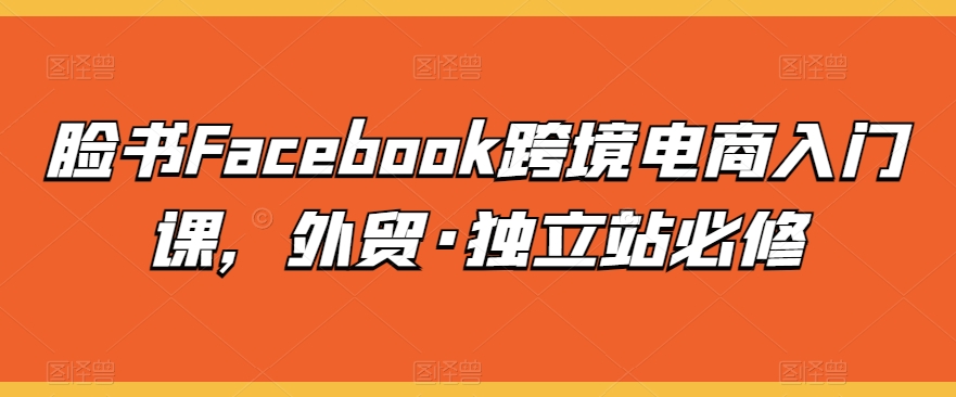 脸书Facebook跨境电商入门课，外贸·独立站必修-AI网创