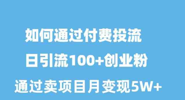 （10189期）如何通过付费投流日引流100+创业粉月变现5W+-AI网创