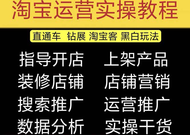 2023淘宝开店教程0基础到高级全套视频网店电商运营培训教学课程（2月更新）-AI网创