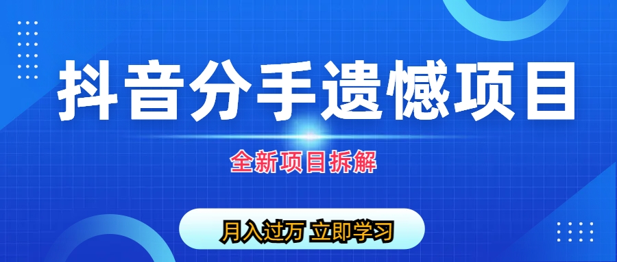自媒体抖音分手遗憾项目私域项目拆解-AI网创