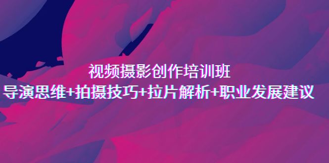 视频摄影创作培训班，导演思维+拍摄技巧+拉片解析+职业发展建议-AI网创
