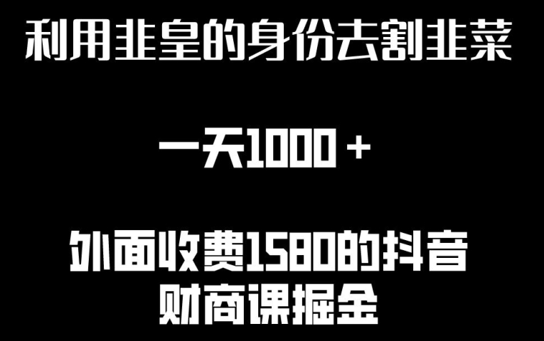 利用非皇的身份去割韭菜，一天1000+(附详细资源)-AI网创