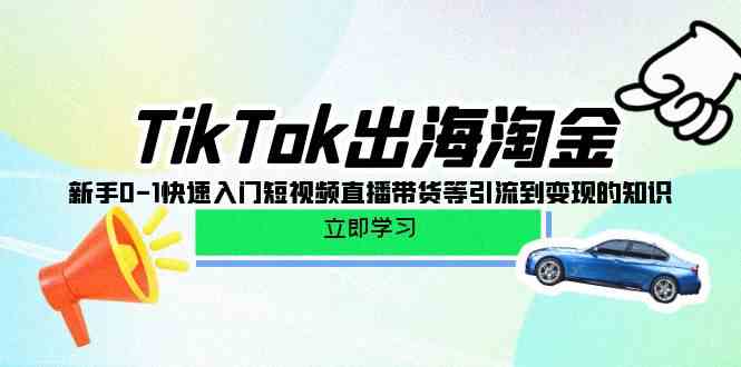 TikTok出海淘金，新手0-1快速入门短视频直播带货等引流到变现的知识-AI网创