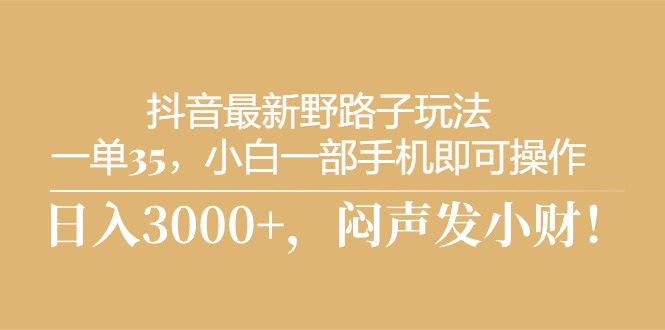（10766期）抖音最新野路子玩法，一单35，小白一部手机即可操作，，日入3000+，闷…-AI网创
