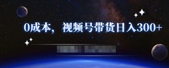 零基础视频号带货赚钱项目，0成本0门槛轻松日入300+【视频教程】￼-AI网创