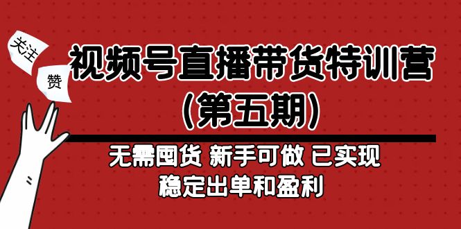 视频号直播带货特训营（第五期）无需囤货 新手可做 已实现稳定出单和盈利-AI网创
