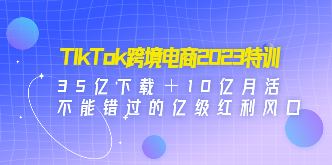 TikTok跨境电商2023特训：35亿下载＋10亿月活，不能错过的亿级红利风口-AI网创