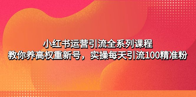 小红书运营引流全系列课程：教你养高权重新号，实操每天引流100精准粉-AI网创