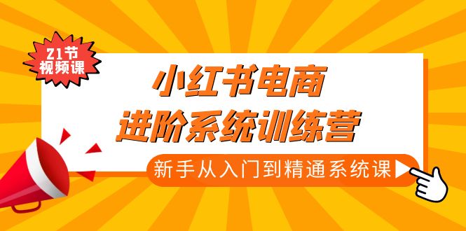 小红书电商进阶系统训练营：新手从入门到精通系统课（21节视频课）-AI网创