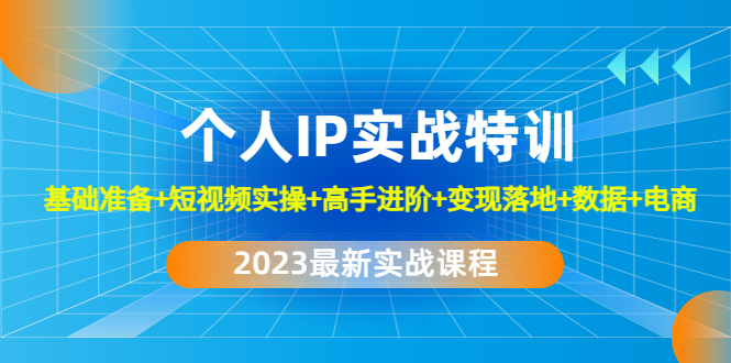 2023个人IP实战特训：基础准备+短视频实操+高手进阶+变现落地+数据+电商-AI网创
