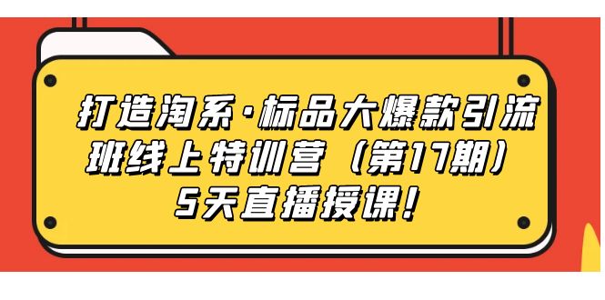 打造淘系·标品大爆款引流班线上特训营（第17期）5天直播授课！-AI网创