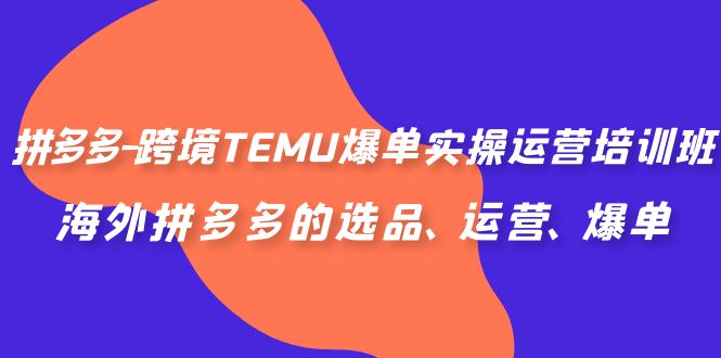 拼多多-跨境TEMU爆单实操运营培训班，海外拼多多的选品、运营、爆单-AI网创