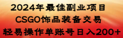 2024年最佳副业项目 CSGO饰品装备交易 轻易操作单账号日入200+-AI网创