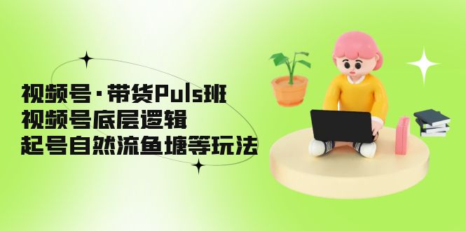 视频号·带货Puls班，视频号底层逻辑，起号自然流鱼塘等玩法-AI网创