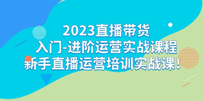 2023直播带货入门-进阶运营实战课程：新手直播运营培训实战课！-AI网创