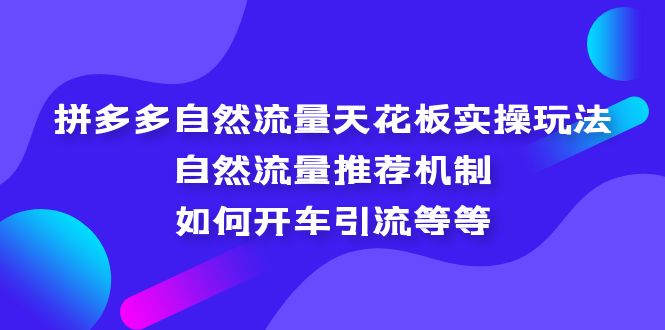 拼多多自然流量天花板实操玩法：自然流量推荐机制，如何开车引流等等-AI网创