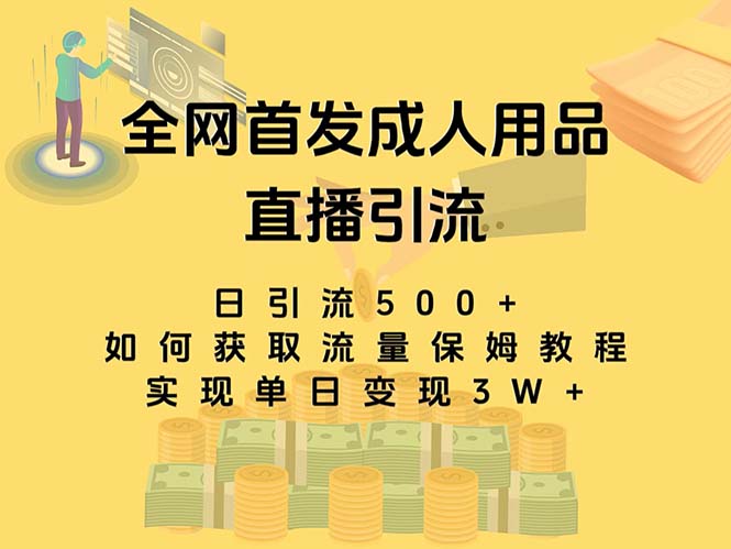 最新全网独创首发，成人用品直播引流获客暴力玩法，单日变现3w保姆级教程-AI网创