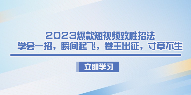 2023爆款短视频致胜招法，学会一招，瞬间起飞，卷王出征，寸草不生-AI网创
