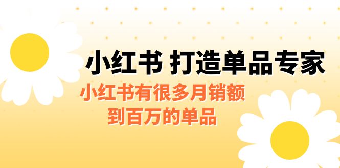 某公众号付费文章《小红书 打造单品专家》小红书有很多月销额到百万的单品-AI网创