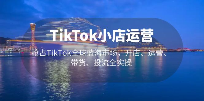 TikTok小店运营 抢占TikTok全球蓝海市场，开店、运营、带货、投流全实操-AI网创