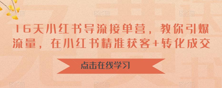 16天-小红书 导流接单营，教你引爆流量，在小红书精准获客+转化成交-AI网创