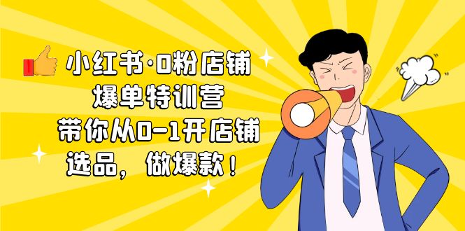 小红书·0粉店铺爆单特训营 带你从0-1开店铺，选品，做爆款（课程+工具包）-AI网创