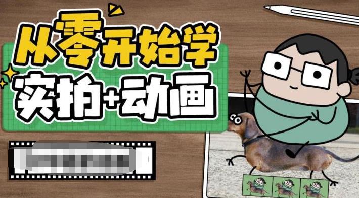 从零开始学实拍加动画，实拍加动画创意教程（49节视频课）-AI网创