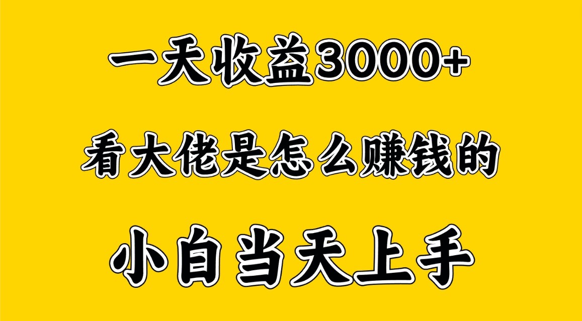 一天赚3000多，大佬是这样赚到钱的，小白当天上手，穷人翻身项目-AI网创