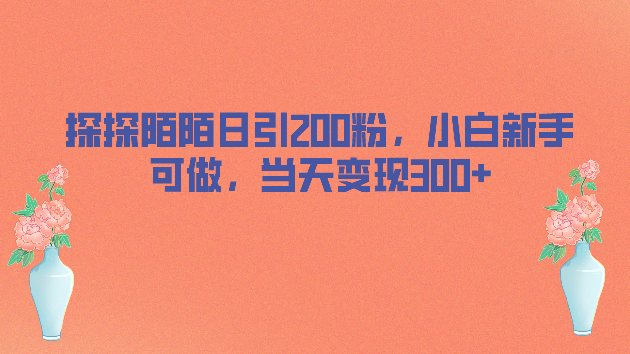 探探陌陌日引200粉，小白新手可做，当天就能变现300+-AI网创