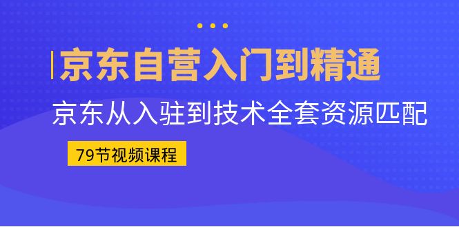 京东自营入门到精通：京东从入驻到技术全套资源匹配（79节课）-AI网创