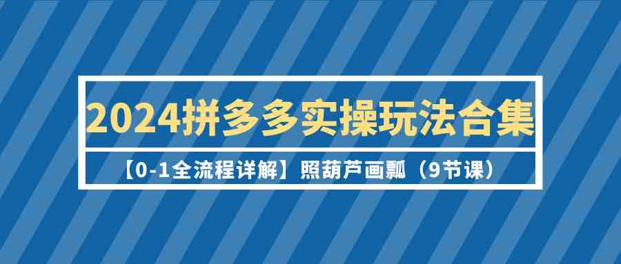 （9559期）2024拼多多实操玩法合集【0-1全流程详解】照葫芦画瓢（9节课）-AI网创