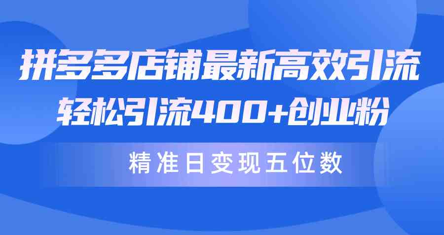 （10041期）拼多多店铺最新高效引流术，轻松引流400+创业粉，精准日变现五位数！-AI网创