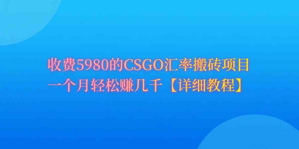 （9776期）CSGO装备搬砖，月综合收益率高达60%，你也可以！-AI网创