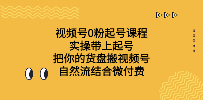 视频号0粉起号课程 实操带上起号 把你的货盘搬视频号 自然流结合微付费-AI网创