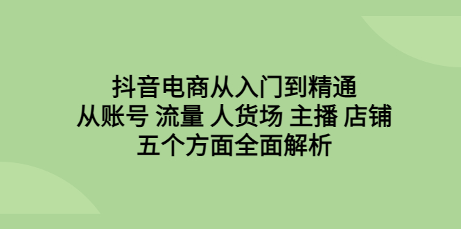 抖音电商从入门到精通，从账号 流量 人货场 主播 店铺五个方面全面解析-AI网创