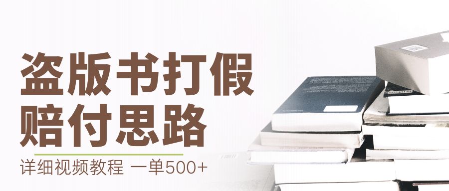 最新盗版书赔付打假项目，一单利润500+【详细玩法视频教程】-AI网创