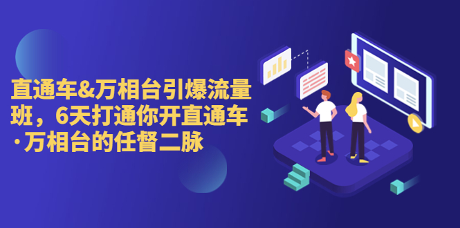 直通车+万相台引爆流量班，6天打通你开直通车·万相台的任督 二脉-AI网创