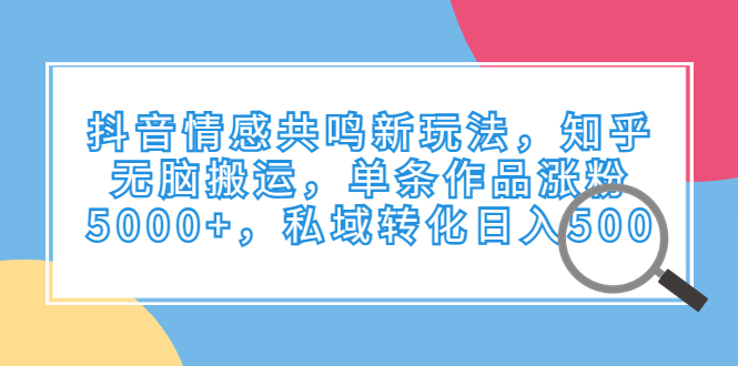 抖音情感共鸣新玩法，知乎无脑搬运，单条作品涨粉5000+，私域转化日入500-AI网创