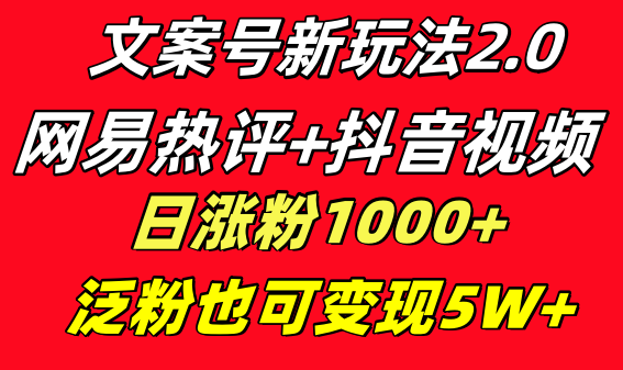 文案号新玩法 网易热评+抖音文案 一天涨粉1000+ 多种变现模式 泛粉也可变现-AI网创