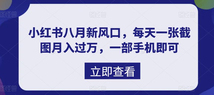 八月新风口，小红书虚拟项目一天收入1000+，实战揭秘-AI网创