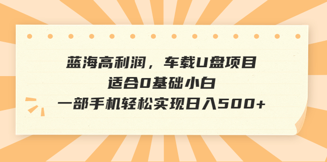 蓝海高利润，车载U盘项目，适合0基础小白，一部手机轻松实现日入500+-AI网创