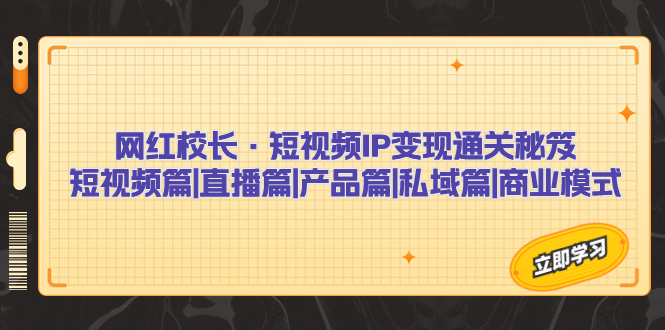 网红校长·短视频IP变现通关秘笈：短视频篇+直播篇+产品篇+私域篇+商业模式-AI网创