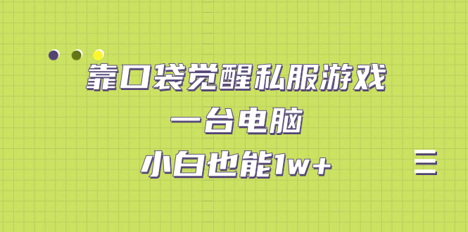 靠口袋觉醒私服游戏，一台电脑，小白也能1w+（教程+工具+资料）-AI网创