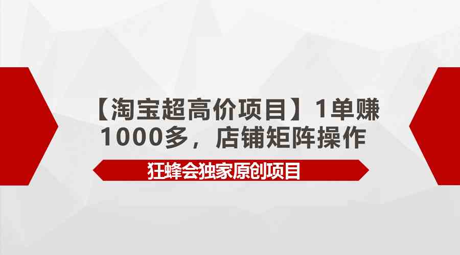 （9849期）【淘宝超高价项目】1单赚1000多，店铺矩阵操作-AI网创