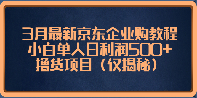 3月最新京东企业购教程，小白单人日利润500+撸货项目（仅揭秘）-AI网创