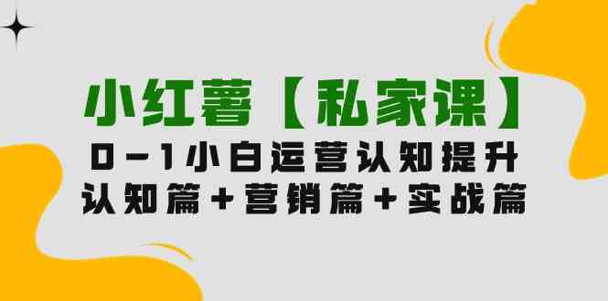 （9910期）小红薯【私家课】0-1玩赚小红书内容营销，认知篇+营销篇+实战篇（11节课）-AI网创