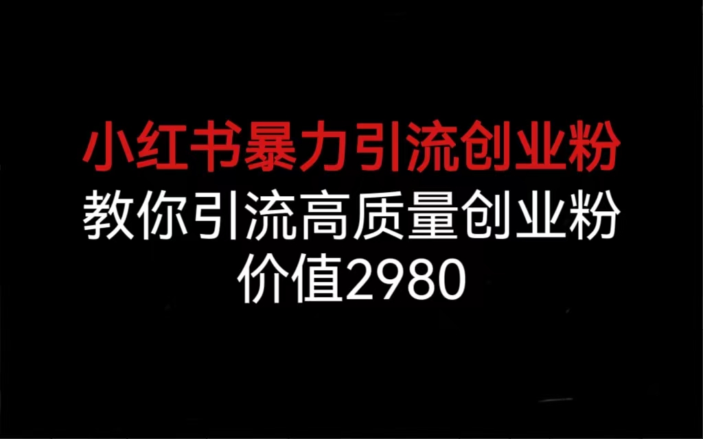 小红书暴力引流创业粉，教你引流高质量创业粉，价值2980-AI网创