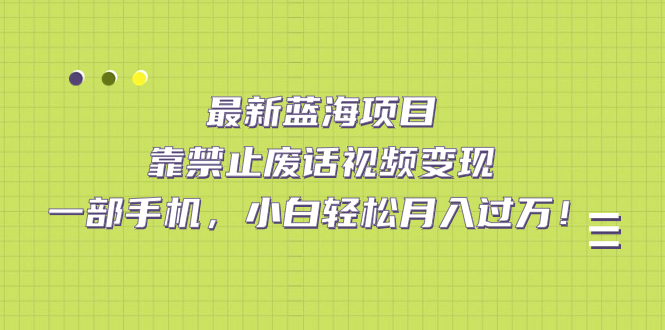 最新蓝海项目，靠禁止废话视频变现，一部手机，小白轻松月入过万！-AI网创