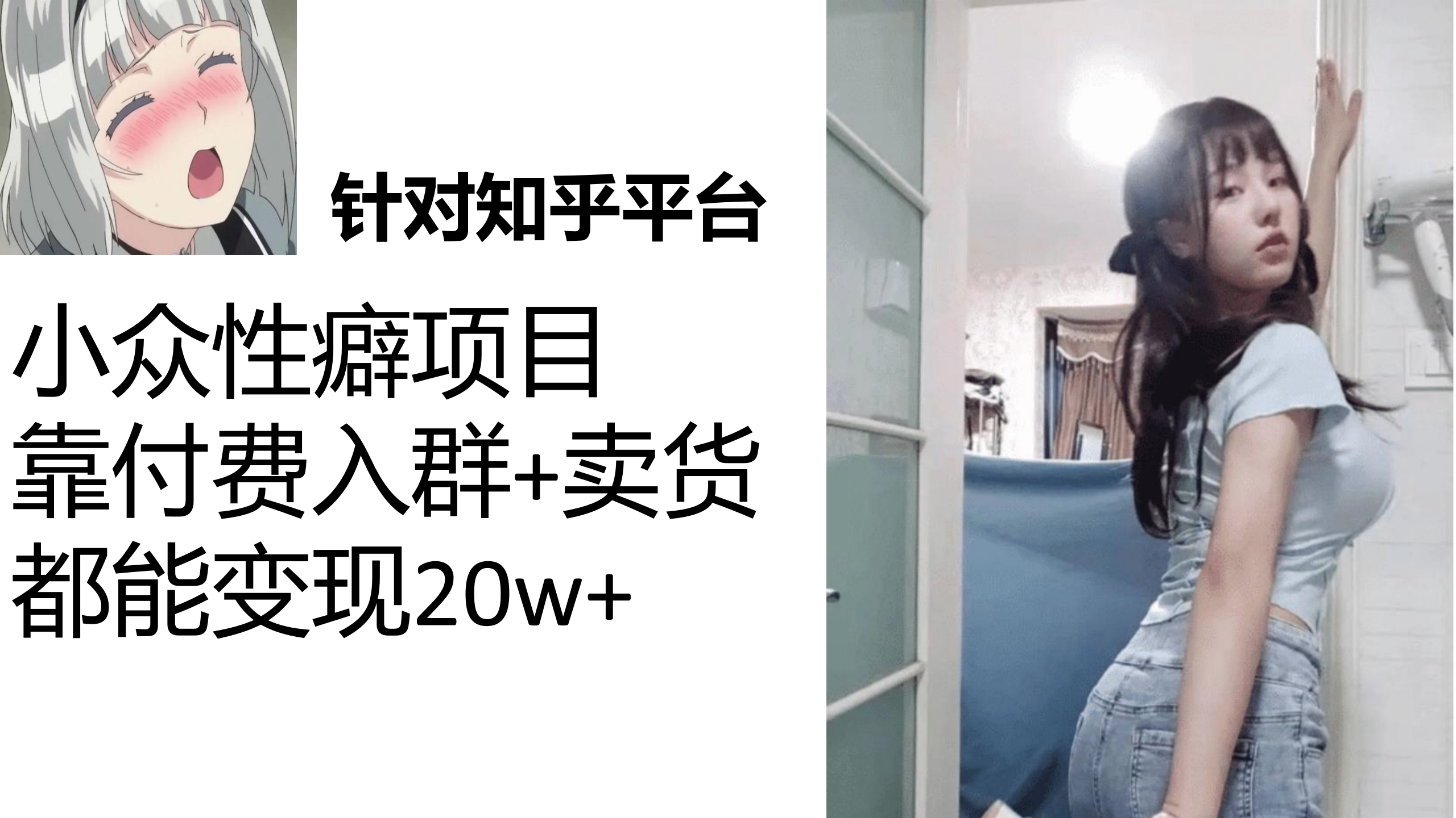 知乎小众性癖项目，Lsp的钱才是最好赚的，付费建群+卖货变现20w-AI网创